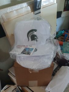 MSU Noggin Boss Hat