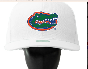 Florida Gator Noggin Boss