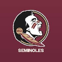 Florida State Seminoles Category logo pin
