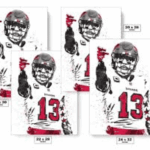 Mike Evans Overlay