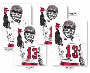Mike Evans Overlay