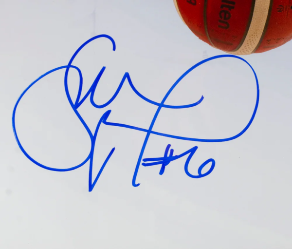 Sue Bird Autographed Framed 16x20 Team USA Basketball Plaque Photo