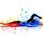 Katie-Ledeckey-wall-art-dsplate-PIN