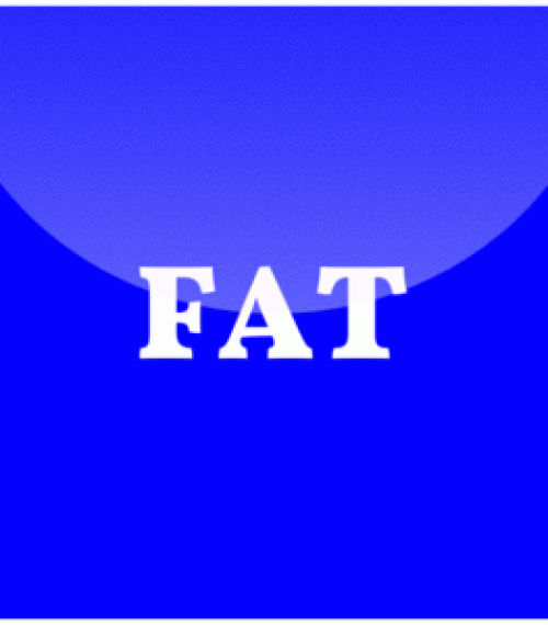 FAT Hat Sports Collectibles